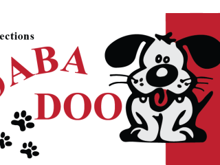 Entreprise à vendre – Collections Daba-Doo REF#17055