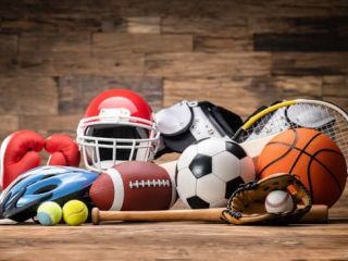 Opportunité d’affaires – Ligue sportive adulte bien établie REF#16945