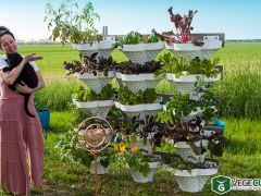 Opportunité d'investissement Seed Stage dans une Agtech particulière REF#17090