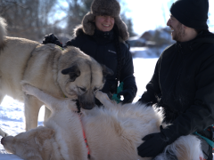 Opportunité d’acquisition d'actif REF#17105