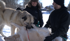 Opportunité d’acquisition d'actif REF#17105