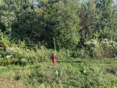 Terrain industriel à vendre, Saint-Apollinaire  REF#16962