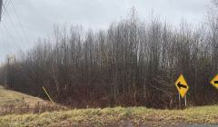 Terre agro-forestière à vendre, Val-Alain REF#16961